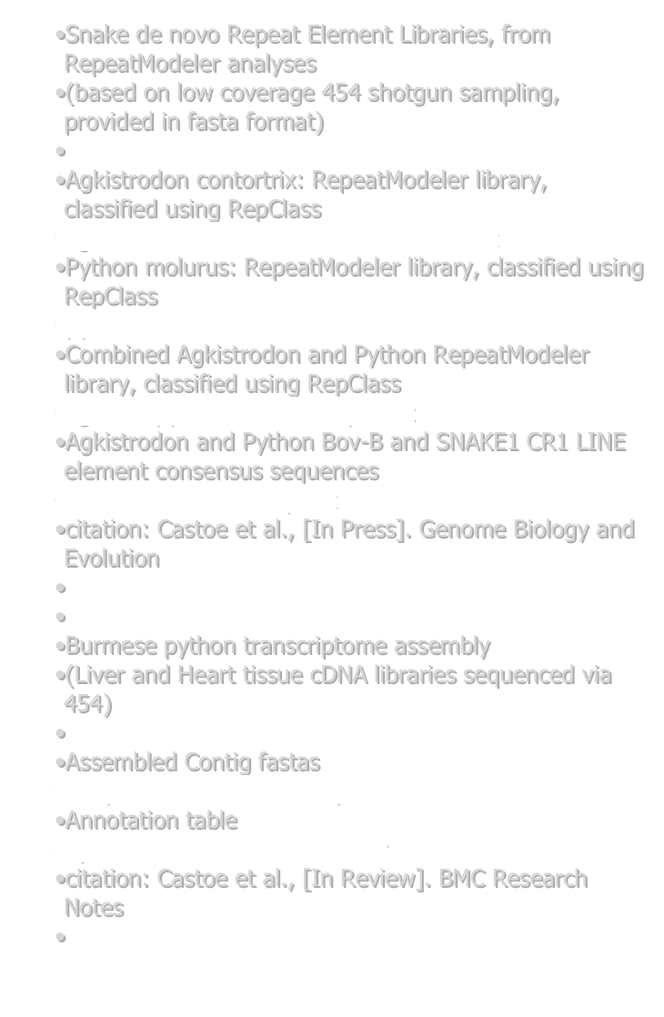 Snake de novo Repeat Element Libraries, from RepeatModeler analyses
(based on low coverage 454 shotgun sampling, provided in fasta format)

Agkistrodon contortrix: RepeatModeler library, classified using RepClass
agk.12comb.classified.annotated.fixed.txt
Python molurus: RepeatModeler library, classified using RepClass
pyth.consensi.fa.classified.annotated.fixed
Combined Agkistrodon and Python RepeatModeler library, classified using RepClass
agk1n2_python.annotated.ple_fix
Agkistrodon and Python Bov-B and SNAKE1 CR1 LINE element consensus sequences
LINE_Consensus_Seqs.txt
citation: Castoe et al., [In Press]. Genome Biology and Evolution


Burmese python transcriptome assembly 
(Liver and Heart tissue cDNA libraries sequenced via 454)

Assembled Contig fastas
AllPythonData_coAssembly.fna
Annotation table
updated_cDNA_blast_table.csv
citation: Castoe et al., [In Review]. BMC Research Notes
